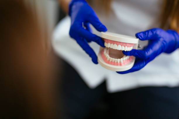  Rockland, ME Holistic Dental Services Pros